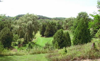 View from the deck. - Country homes for sale and luxury real estate including horse farms and property in the Caledon and King City areas near Toronto